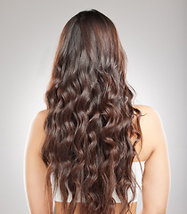Image showing Hair, beauty with balayage and woman hairstyle with haircare, keratin treatment and back view. Female person with color shine, texture with growth and grooming curls isolated on studio background