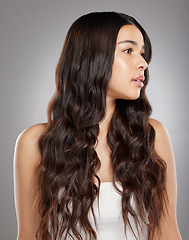 Image showing Woman with hair, beauty with balayage and curly hairstyle with haircare and keratin treatment on studio background. Female person with shine and texture, growth and grooming with glamour and glossy