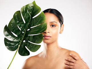 Image showing Woman, portrait and leaf for natural beauty, skincare or organic cosmetics against a white studio background. Face of female person or model with green plant, leaves or dermatology for sustainability