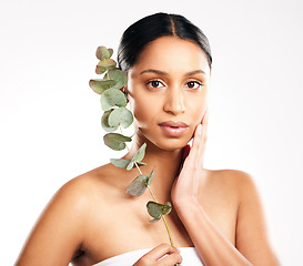 Image showing Woman, portrait and plant for natural skincare, beauty or nature cosmetics against a white studio background. Face of female person or model with green leaf, leaves or dermatology for sustainability