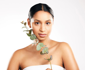 Image showing Woman, portrait and plant for natural beauty, skincare or nature cosmetics against a white studio background. Face of female person or model with green leaf, leaves or dermatology for sustainability