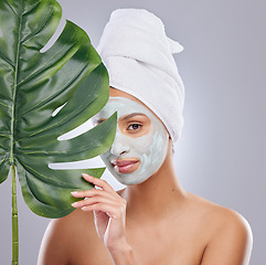 Image showing Leaf, skincare and portrait of woman with face mask in studio for dermatology and treatment on grey background. Plant, facial and female model with diy, beauty and eco friendly wellness body care