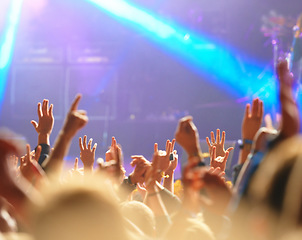 Image showing Its all about the fans. Shot of fans enjoying an outdoor music festival.