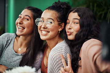 Image showing Having sisters means having best friends. Shot of young sisters taking selfies together at a cafe.