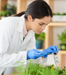 Image showing Bagging a few samples. Shot of a young scientist putting soil samples into a bag in a lab.