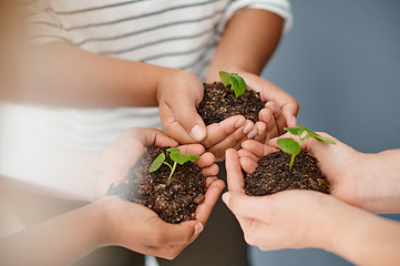 Image showing We all have to start somewhere. Cropped shot of an unrecognizable group of businesswomen holding plants growing out of soil inside an office.