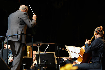 Image showing Leading the orchestra in a symphony. Shot of a conductor and musicians during an orchestral concert.