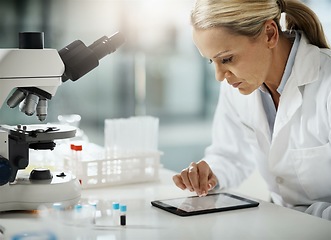 Image showing Using the internet to conduct some research. Cropped shot of an attractive mature female scientist using a tablet while doing research in her lab.