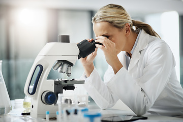 Image showing Taking a closer look. Cropped shot of an attractive mature female scientist using a microscope while doing research in her lab.