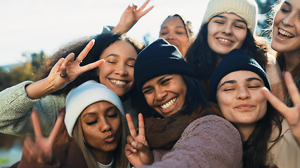 Image showing Group, women and peace sign for selfie in nature with diversity, love and emoji for post on web blog. Female people, photography and profile picture with social media, happy and together for camping