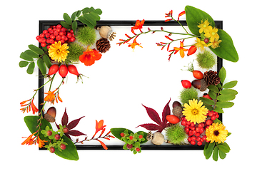 Image showing Autumn Thanksgiving Nature Background Border Frame