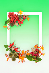 Image showing Autumn Fall Festive Nature Background Frame