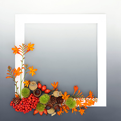 Image showing Autumn Thanksgiving Samhain Nature Background Design