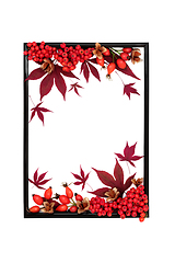 Image showing Autumn Fall Harvest Festival Background Frame