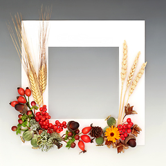 Image showing Thanksgiving Day Autumn Harvest Festival Background Border