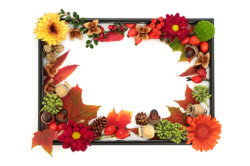 Image showing Autumn Flora and Fauna Thanksgiving Background Border