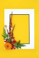 Image showing Halloween Autumn Fall Thanksgiving Background Border  