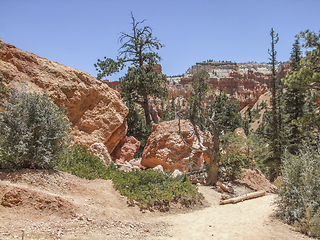 Image showing Bryce Canyon National Park