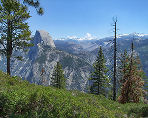 Image showing Yosemite National Park