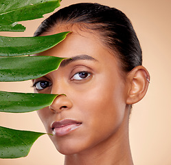 Image showing Skincare, beauty and indian woman with portrait with plant or natural glow in studio background for wellness. Dermatology, leaves and happy face for cosmetic with facial treatment for luxury spa.
