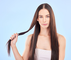 Image showing Portrait, texture and woman with hair care, growth and cosmetics against a blue studio background. Female person, aesthetic or model with beauty, length and scalp treatment with luxury and shampoo