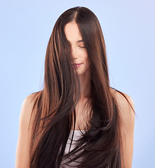 Image showing Beauty, texture and woman with hair care, growth and wellness against a blue studio background. Female person, aesthetic and model with volume, scalp treatment and luxury with shampoo and cosmetics