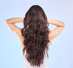 Image showing Hair, back view and beauty, woman and balayage hairstyle with Brazilian and shine on blue background. Haircare, female model and cosmetic care, salon treatment and texture with growth in studio