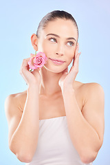 Image showing Woman, beauty and rose for skincare in studio, eco plant cosmetics and natural aesthetic on blue background. Face, female model and thinking of pink flowers, sustainable shine and floral dermatology