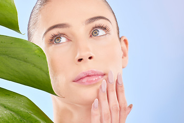 Image showing Face, hand and natural beauty with nails, manicure and cosmetics with palm leaf isolated on blue background. Female model, glow and nail care, eco friendly dermatology and wellness with skincare