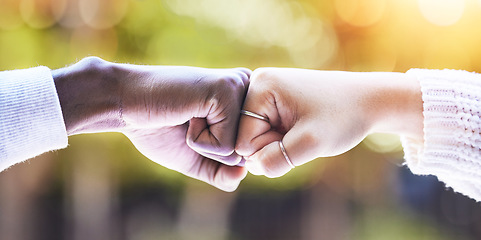 Image showing Fist bump, diversity and hands of people in park for support, agreement and collaboration in nature. Friends, greeting and closeup of hand gesture for friendship, community and solidarity outdoors