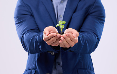 Image showing Plant in man hands in business growth isolated on white background sustainability or eco friendly investment. Sapling soil, palm and sustainable development, sustainability or green startup in studio