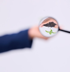 Image showing Magnifier and focus on sustainability with magnifying glass in search of alternative solution or analyzing plant and soil. Hands, person and sustainable expert studying eco friendly produce in studio