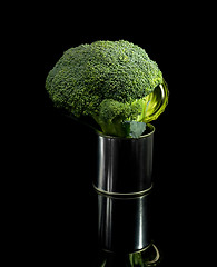 Image showing broccoli on a tin can