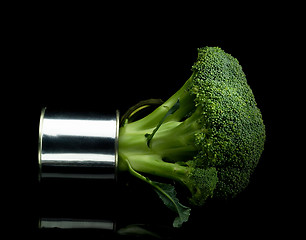 Image showing broccoli on a tin can