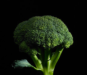 Image showing broccoli