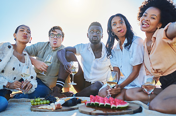 Image showing Watermelon, selfie or crazy friends on picnic to enjoy bonding or eating healthy fruits in summer. Grapes, funny faces or happy people drinking wine with food on a relaxing holiday vacation in nature