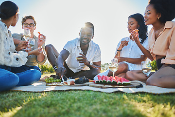 Image showing Friends, travel and picnic with food and outdoor in nature, fruit and cheese for nutrition and adventure in park. Wine, sun and summer holiday with social group, diversity and young people together.