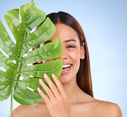 Image showing Happy woman, portrait and leaf in natural beauty and organic skincare cosmetics for self love or care on blue studio background. Female with smile holding eco green plant for sustainable wellness