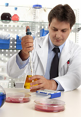 Image showing Scientist taking sample with pipette