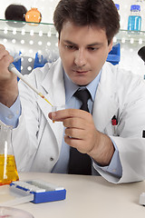 Image showing Scientist using pipette in lab