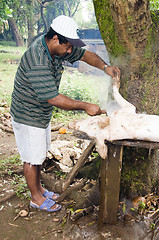 Image showing editorial man butchering hog pig nicaragua