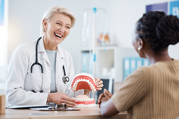 Image showing Dental, consultation and woman with questions about teeth model, oral hygiene and cavity solution in office. Dentist, patient and happy mature female consulting patient, happy and friendly service