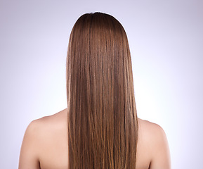 Image showing Beauty, back and haircare of woman in studio isolated on a gray background. Texture, cosmetics and female model with salon treatment for healthy keratin, balayage or hairstyle growth or straight hair