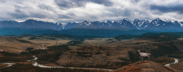 Image showing Kurai steppe and North-Chui ridge