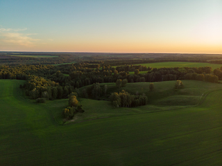 Image showing Top aerial view of green fields and meadows