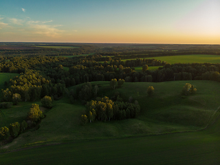 Image showing Top aerial view of green fields and meadows