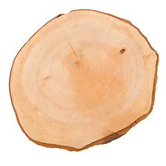 Image showing Wood log slice