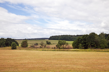 Image showing agricultural landscape