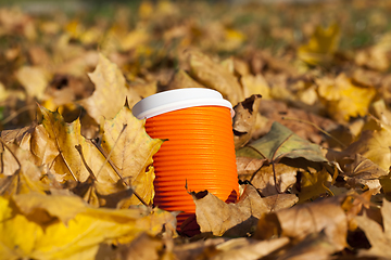 Image showing orange cups