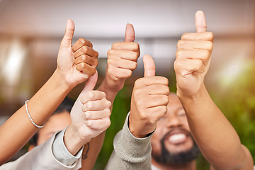 Image showing Winning, thumbs up and group of people thank you, support or diversity hands for vote, yes or like emoji. Team building, target reach and winner staff teamwork, business agreement or success sign